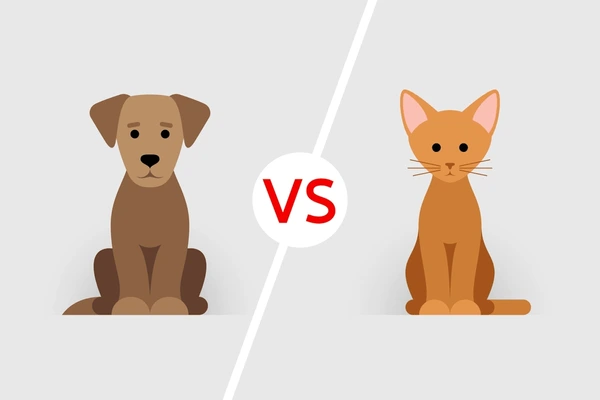 Choosing a Pet Cats or Dogs