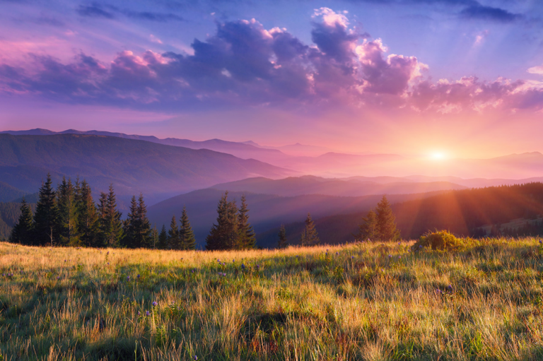 The Magic of Morning