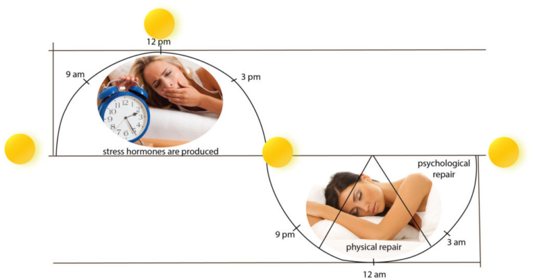 Why It Is Difficult to Train the Organism to Sleep Less