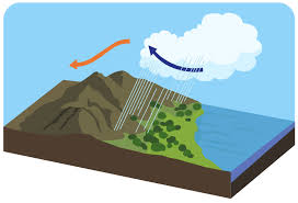 Как климат формирует личность: удивительные выводы учёных