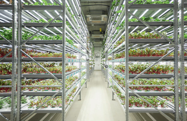 Тік фермалар