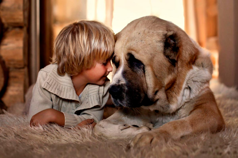Роль домашних животных в жизни ребёнка
