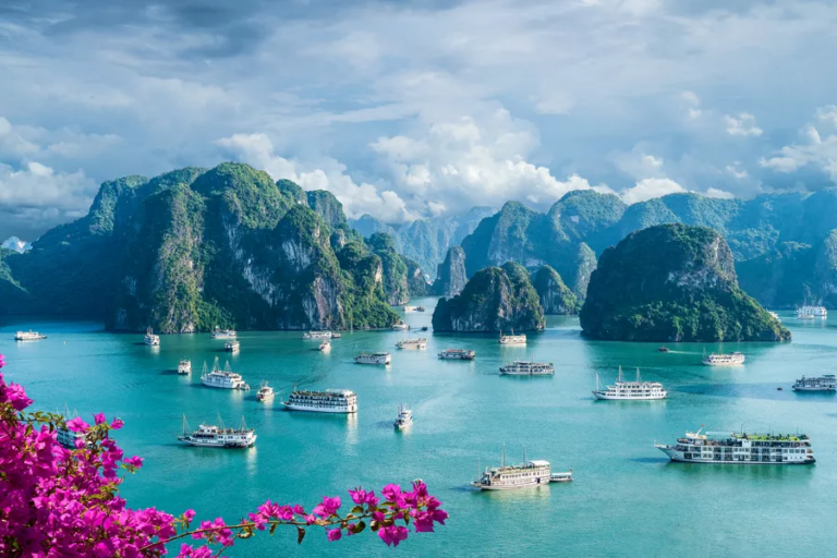 The Recovery and Future Growth of Tourism in Vietnam